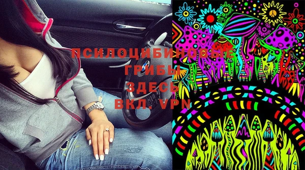 крисы Мегион