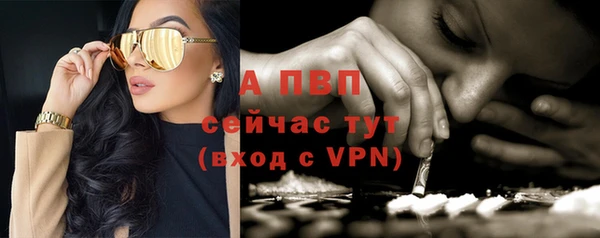 крисы Мегион