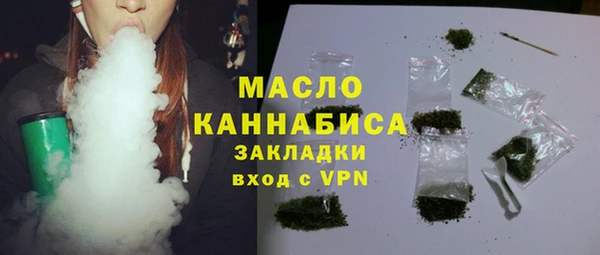 крисы Мегион