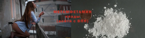 крисы Мегион