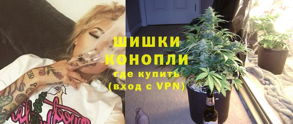 крисы Мегион