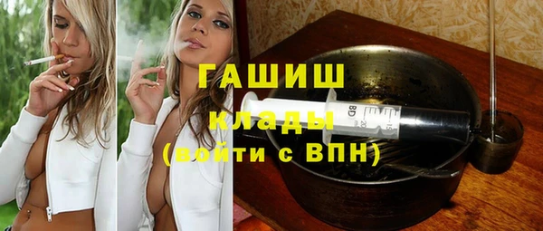 крисы Мегион