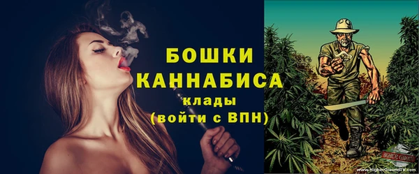 крисы Мегион