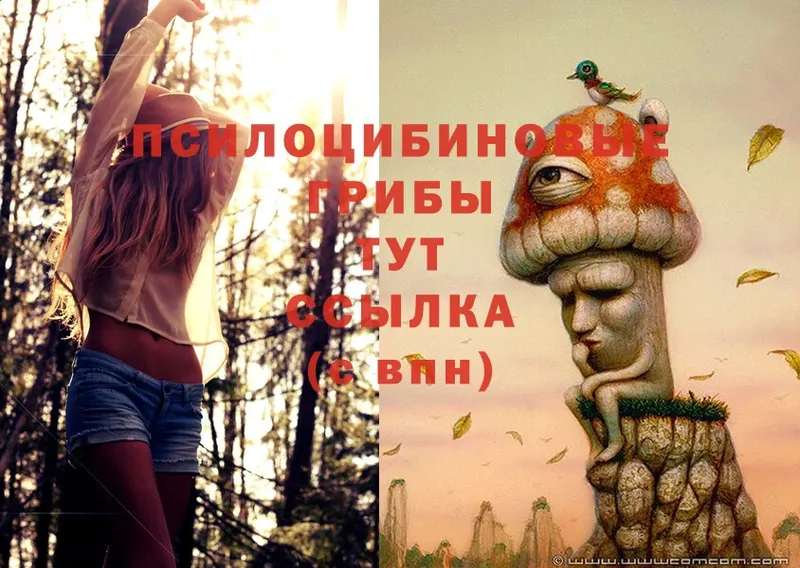 Псилоцибиновые грибы MAGIC MUSHROOMS  Еманжелинск 