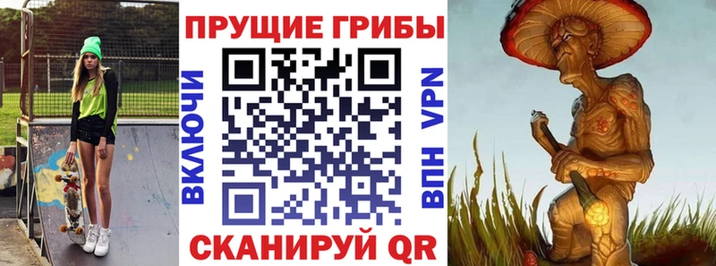 Галлюциногенные грибы Psilocybe  закладка  Еманжелинск 