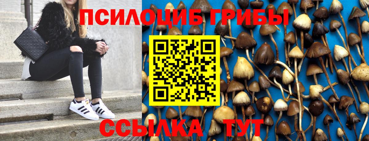 Галлюциногенные грибы MAGIC MUSHROOMS Еманжелинск