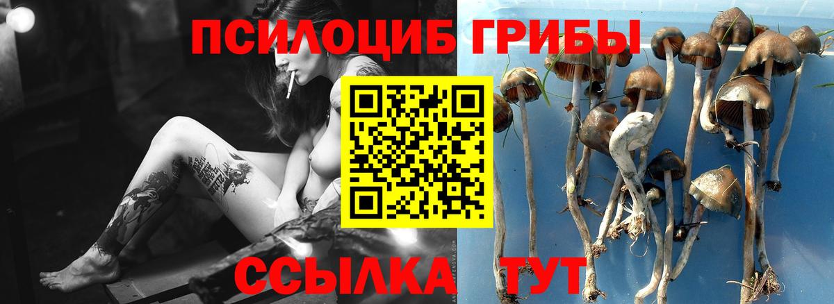 что такое наркотик  Еманжелинск  Псилоцибиновые грибы прущие грибы 